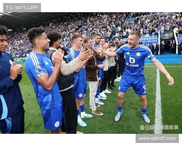 伯恩茅斯足球俱乐部历史发展与英超征程的探索与分析